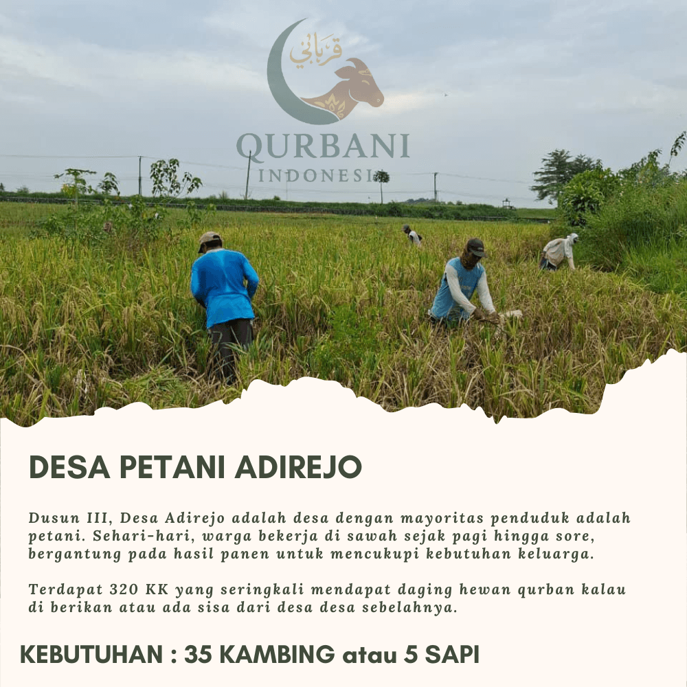 Qurban di Desa Petani